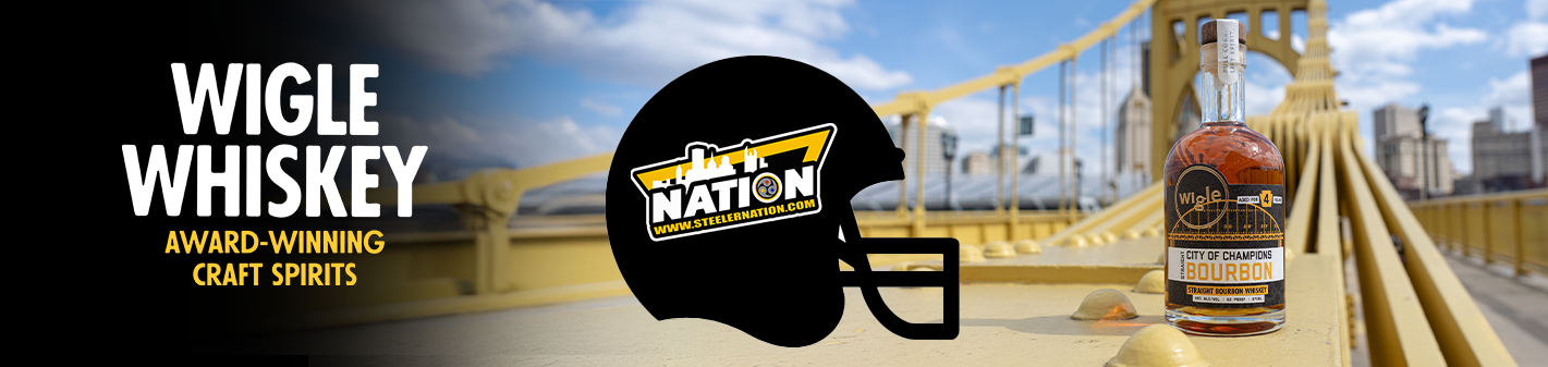 steelernation logo
